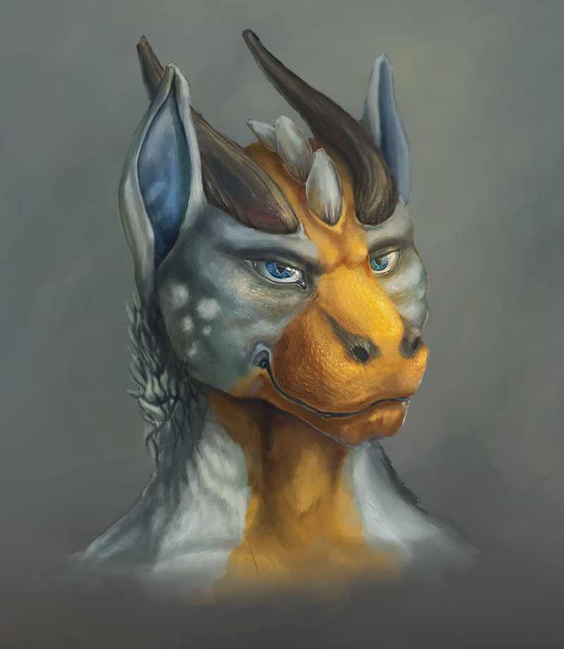 Animal Illustrations