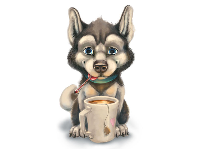 Husky Get Well Soon Illustration